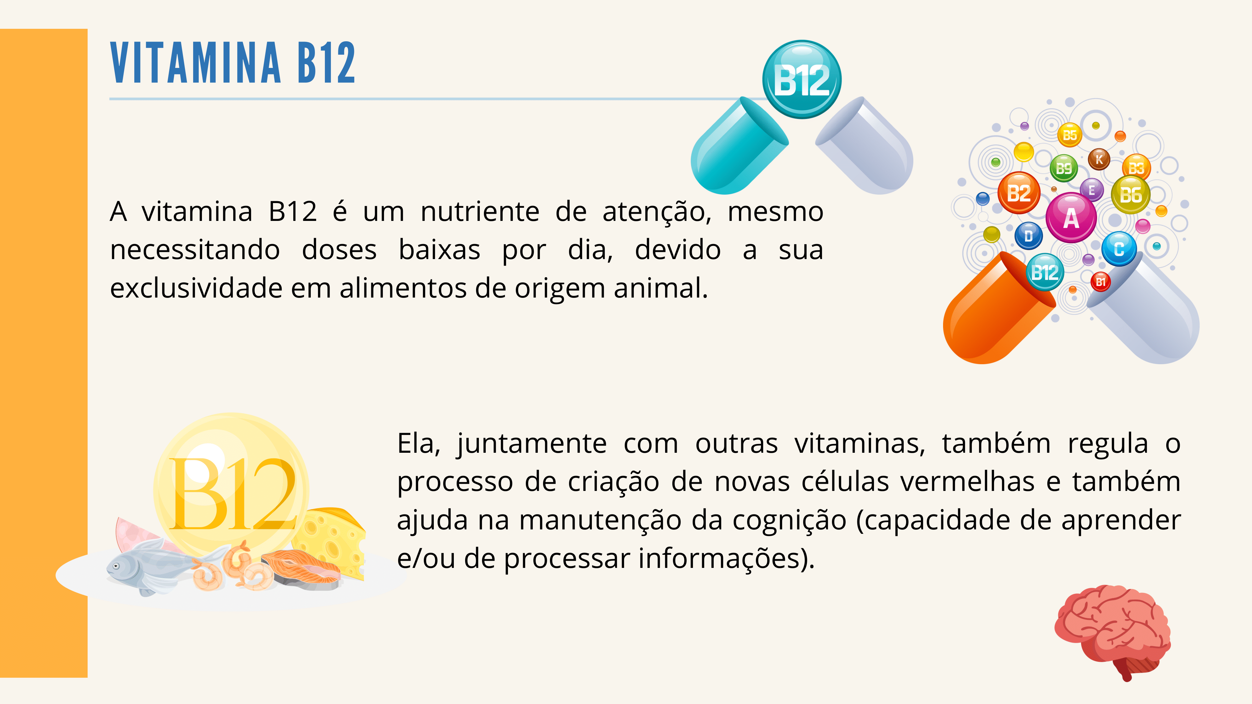 Nutricao-SITE-06.png
