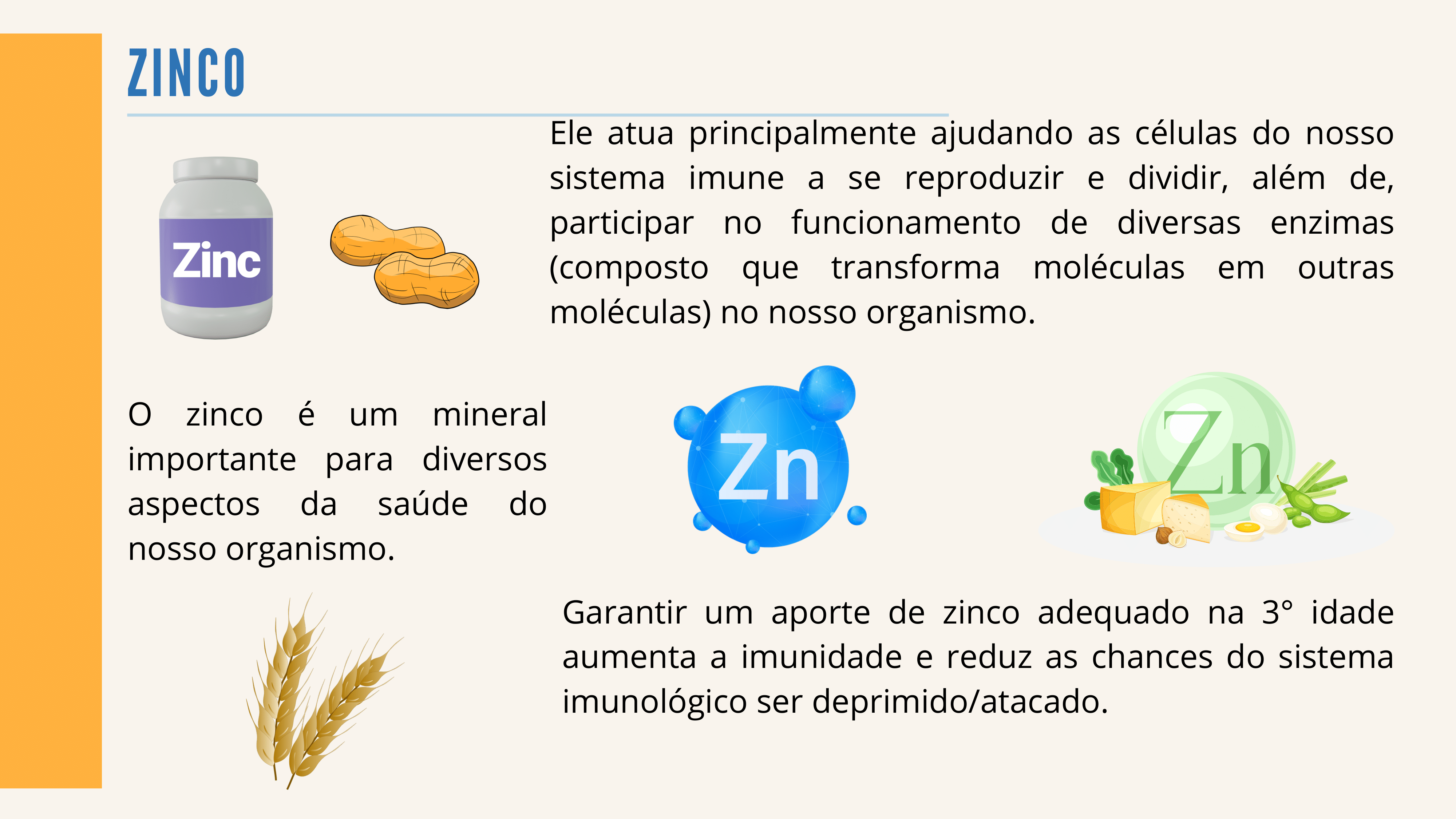 Nutricao-SITE-11.png